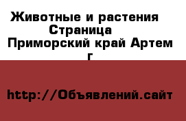  Животные и растения - Страница 6 . Приморский край,Артем г.